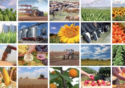 CDOA : Commission Départementale d’Orientation de l’Agriculture