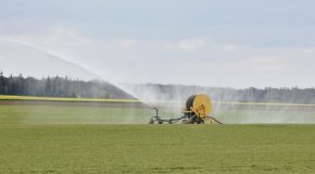 Varenne de l’eau : des bassines pour conforter une agriculture inadaptée