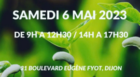 Troc de plantes samedi 6 mai à la MJC des Bourroches à Dijon